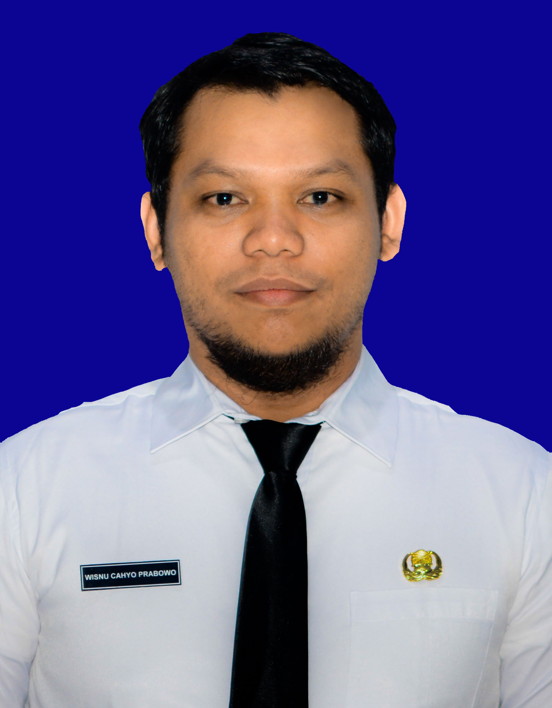 First sample image